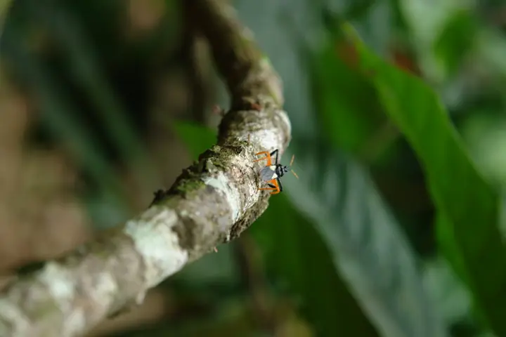 Fotografía 14 de la serie